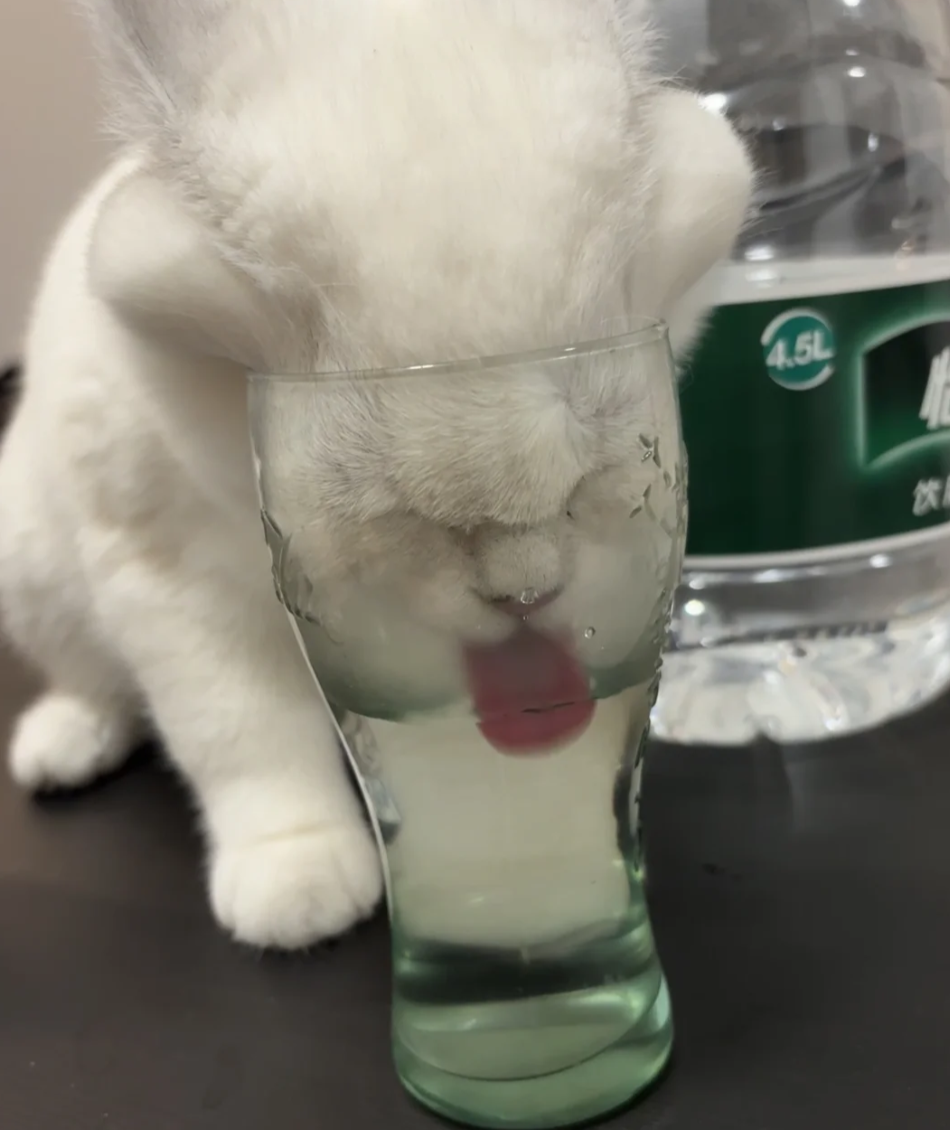 每日一笑 #9a93